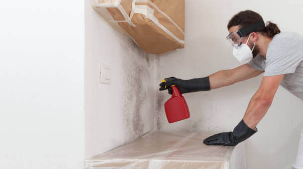 Professional Commercial Mold Remediation technician working in Thorndale, TX