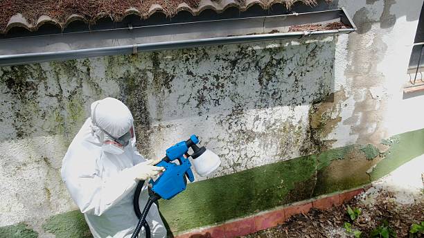 Top rated local Commercial Mold Remediation specialists in Thorndale, TX